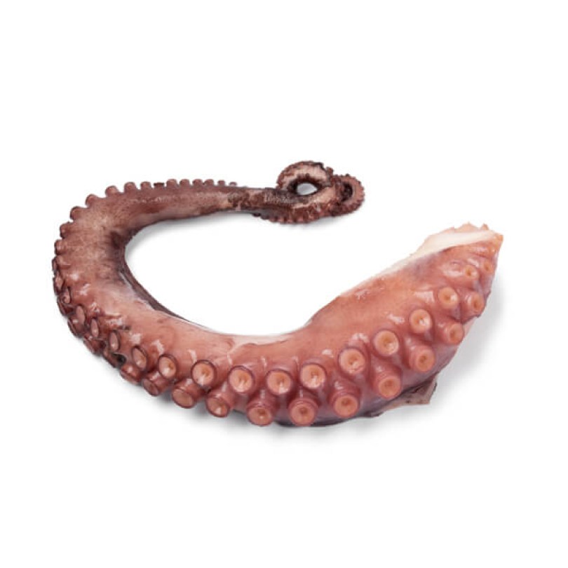 Pulpo Beine gekocht 60-100 - 1kg